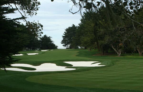 Hole 1 at Bayonet with elevated tee box through Monterey cypress trees Hole 1 at Bayonet with elevated tee box through Monterey cypress trees