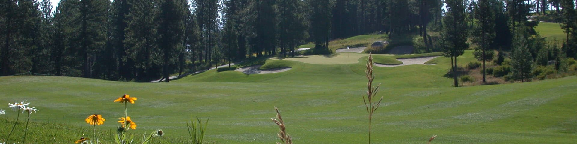 Coyote Moon Golf Course with mountain views Coyote Moon Golf Course with mountain views