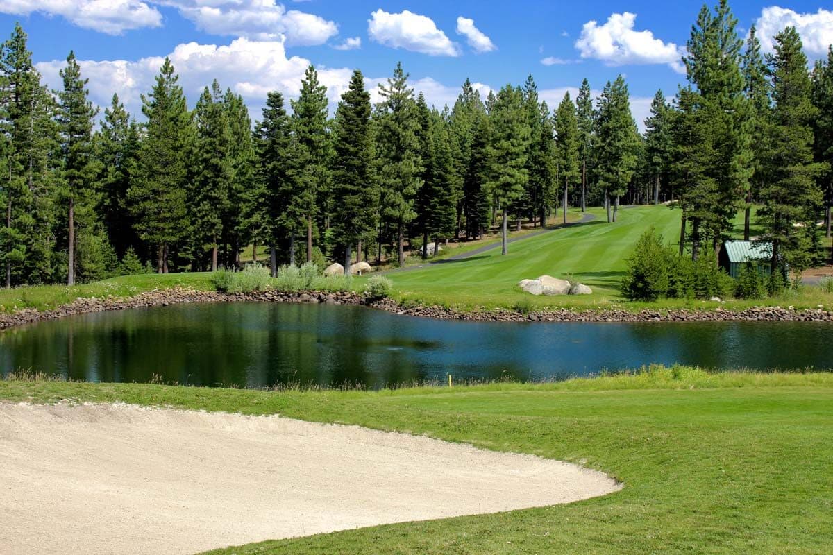 Coyote Moon pond with sand bunker and Tahoe pine forest Coyote Moon pond with sand bunker and Tahoe pine forest