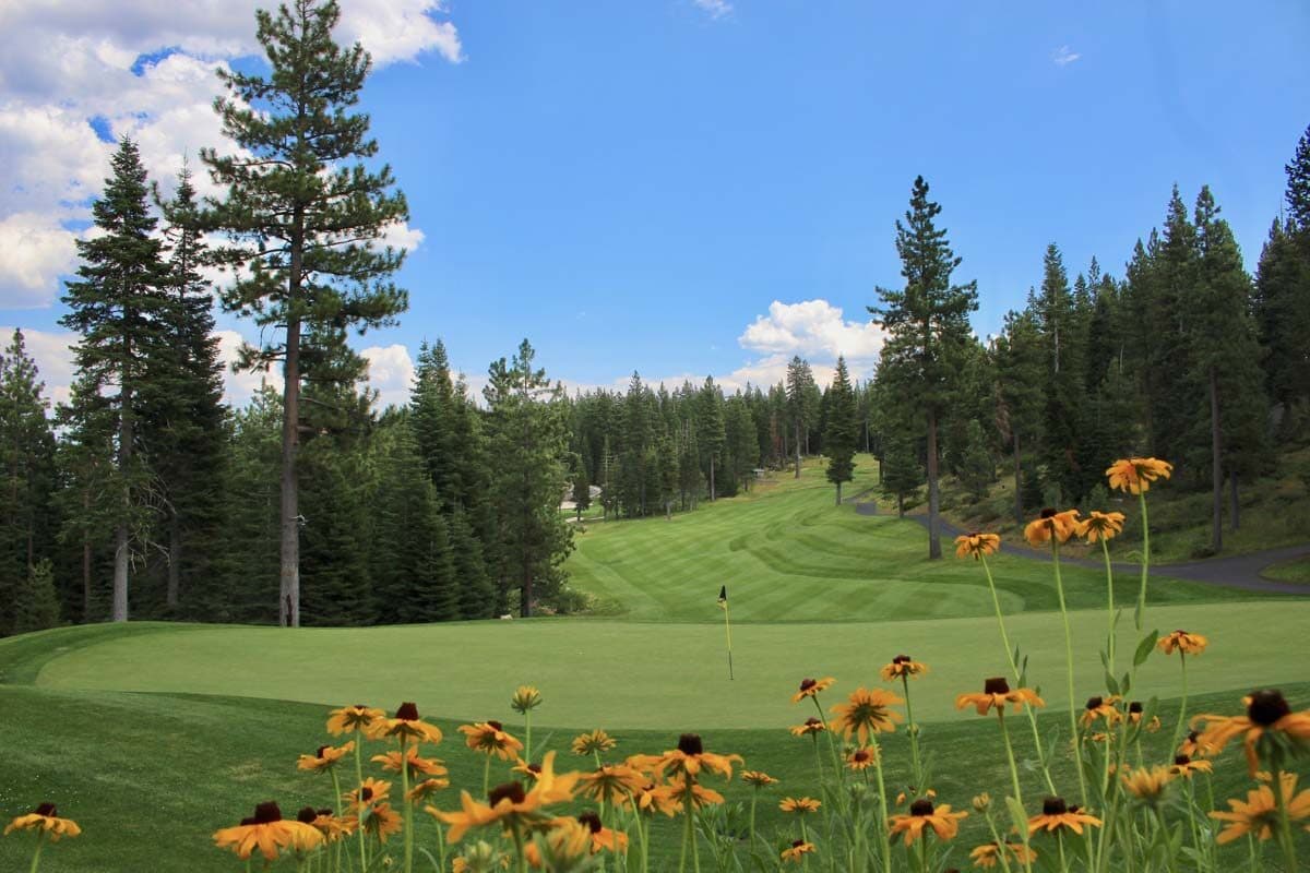 Wildflowers lining Coyote Moon fairway in summer Wildflowers lining Coyote Moon fairway in summer