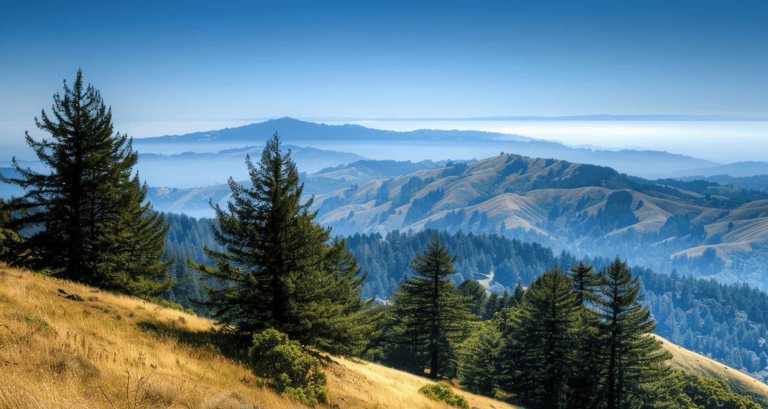 Plumas Pines Townhome